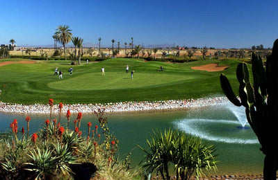 Find the Perfect Golf Break for You!