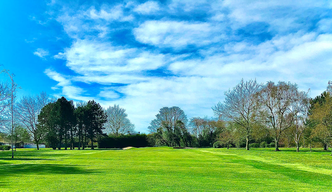 GOLF IS BACK