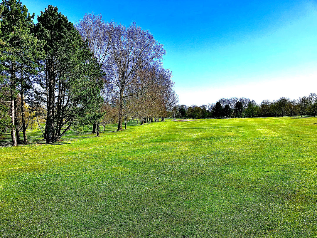 Golf Is (Finally) On The Rise
